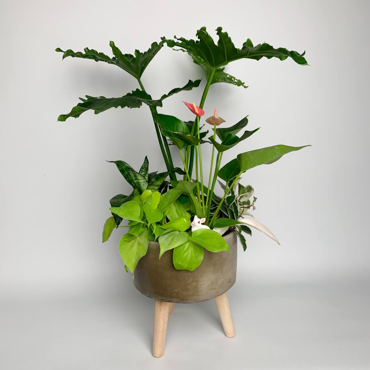 小品組合水泥花盆| Alice Flower Shop 愛麗絲工作花坊｜台中鮮花